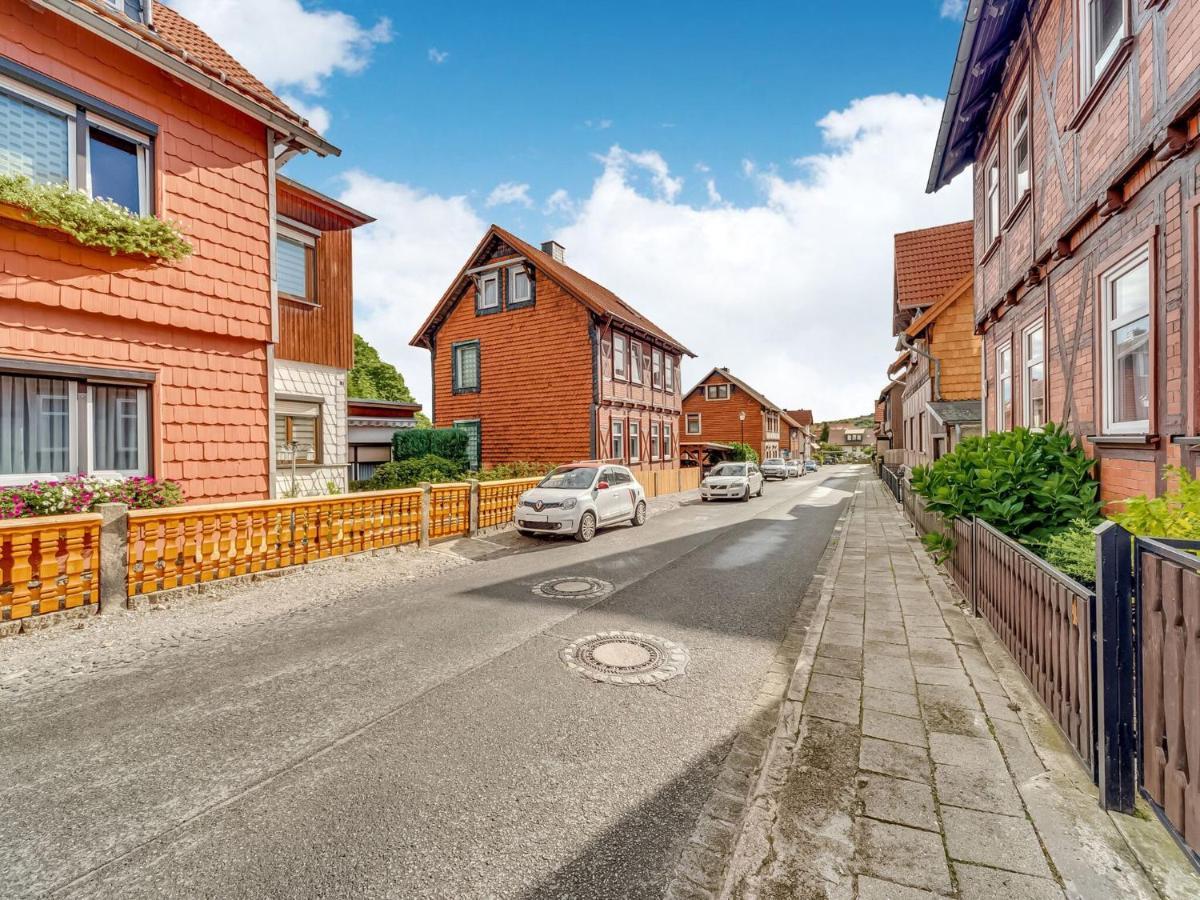Apartment In Ilsenburg Near The Ski Area Eksteriør billede